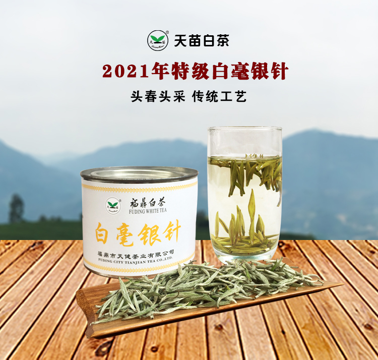 天苗白茶 2021年福鼎白茶白毫银针罐装50g 正宗特级福建白茶