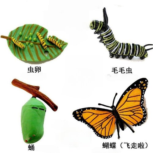 仿真多品种昆虫生长周期动物模型