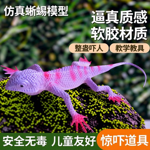 仿真蜥蜴爬行动物模型玩具壁虎软胶假蛇植物套餐整蛊吓人道具教具 - 封面