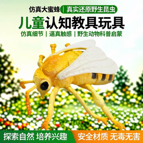 仿真昆虫大蜜蜂动物模型儿童玩具