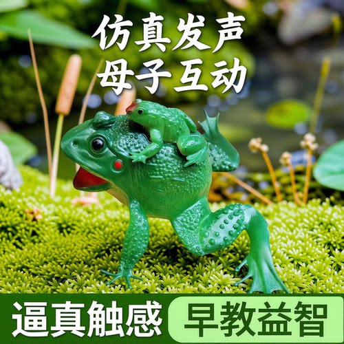 仿真青蛙动物模型软体蛤蟆玩具