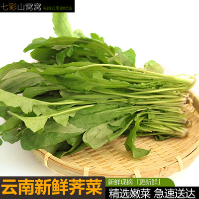 云南新鲜荠菜5斤 鲜荠菜现挖野生荠菜野菜白花饺子馅应当季鲜蔬菜