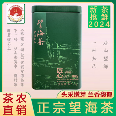 特级望海茶62.5克2024年明前新茶