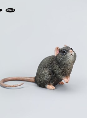 JXK Small小老鼠花枝鼠周边仿真动物GK模型手办玩具公仔桌面摆件