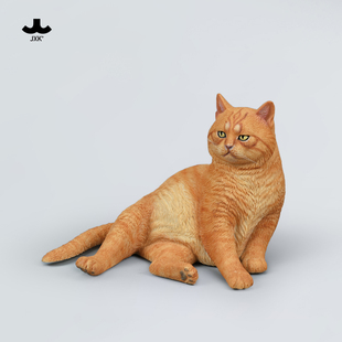 JXK1 猫仿真橘猫白猫小猫咪周边公仔模型手办摆件玩偶礼物 6宫里