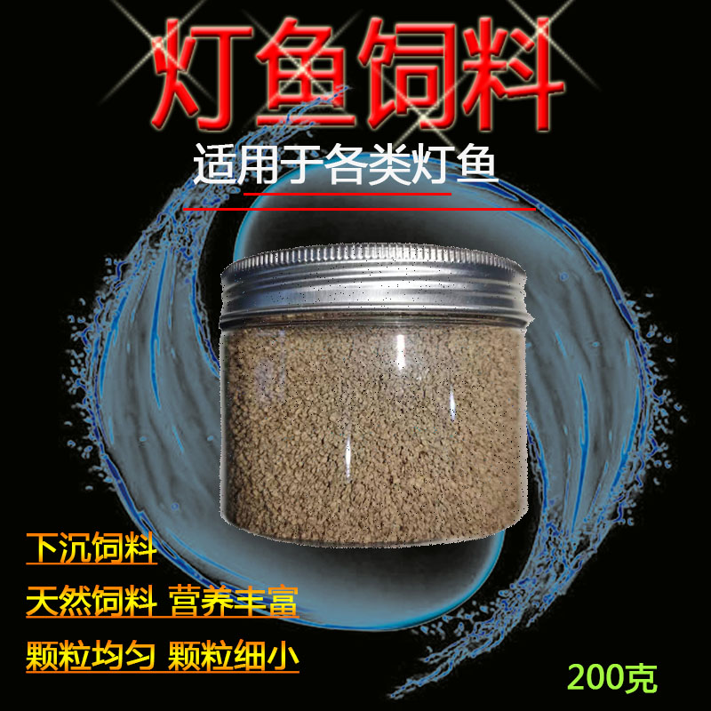 灯鱼小型观赏鱼红绿灯三角宝莲灯图片