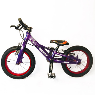 BECAUSE 14寸比科斯儿童攀爬车