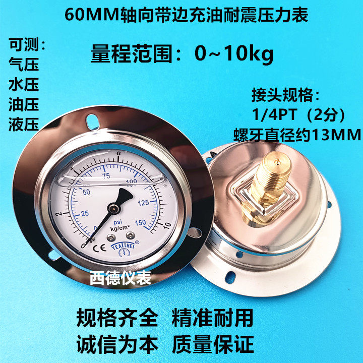 耐震压力表轴向带边嵌装式2分