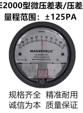TE2000型微差压表 正负125PA微差压表，微差压计，压差表，压差计