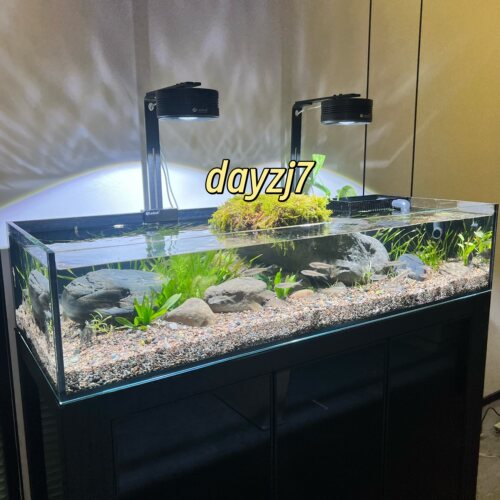 乐迪Ledesk原生态溪流缸神灯爆藻水草出苔三湖全光谱植物生长筒灯