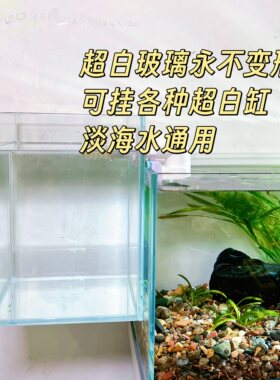 隔离盒孵化盒超白鱼缸藻缸过滤盒