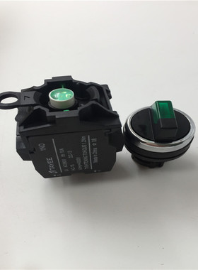 上海TAYEE天逸短柄带灯旋钮LA42XD29-20/DC24V 绿色 现货
