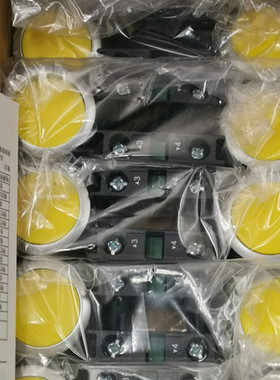 上海天逸TAYEE LA42(V)PS-20/Y两常开自锁位点动按钮开关平钮圆钮