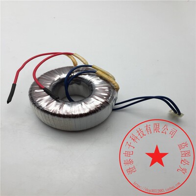 ToroidalTransformerZB-300