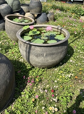 老旧1米口大水缸储水家用陶瓷大号养鱼瓦缸粗陶缸陶土小瓷睡莲盆