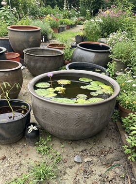 大水缸储水家用陶瓷大号养鱼瓦缸粗陶缸陶土小瓷睡莲盆