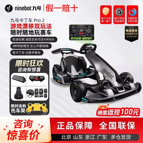 九号卡丁车PRO2儿童成年飘移赛车