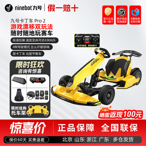九号卡丁车PRO2儿童成人漂移赛车