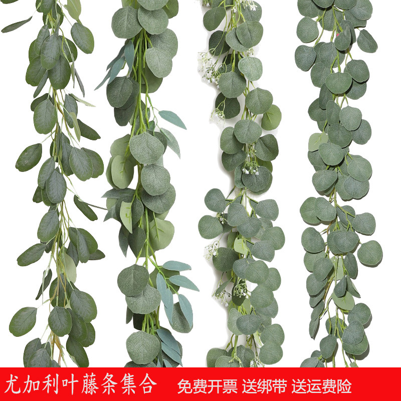 加长加密尤加利金钱叶藤条壁挂仿真植物叶子假花藤吊顶墙壁装饰品