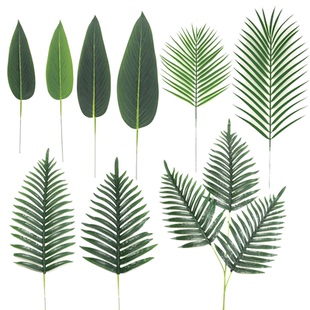 仿真过胶美人蕉叶散尾葵叶凤尾葵棕榈叶铁树叶婚庆墙面假叶子插花