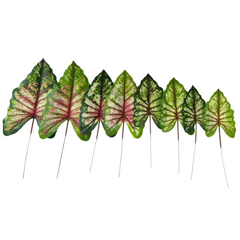 仿真叶子过胶彩虹叶彩叶芋热带叶子婚庆装饰插花配件摄影道具假花