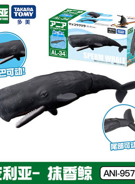 TOMY多美安利亚抹香鲸仿真海洋动物玩具模型可动儿童认知玩具礼物