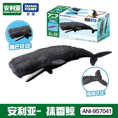TOMY多美安利亚抹香鲸动物玩具