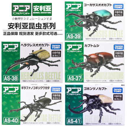 TOMY多美卡安利亚锯齿瓢虫 彩虹 五角甲虫动物昆虫益智模型玩具