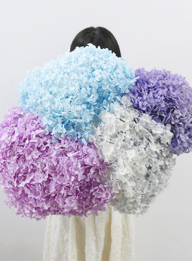 天然植物干花小叶安娜绣球永生花家居客厅装饰插花婚庆布置DIY花