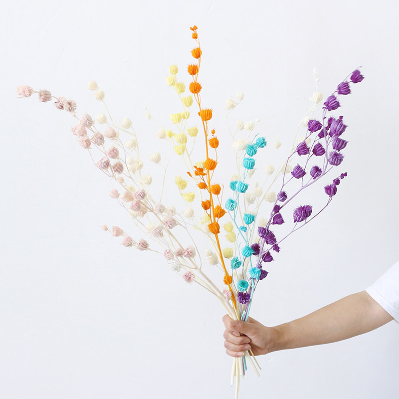 天然真花铃铛果永生花干花家居橱窗装饰摆件diy花材高级雪绒质感