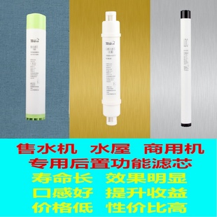 口感王水概念滤芯售水机水屋商用机专用T33后置活性碳弱碱富锶氢
