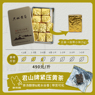 【单泡】君山 迷你小金砖紧压茶黄茶湖南岳阳茶叶样试喝品鉴装