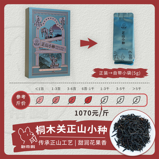 正山小种一级 桐木关 武夷正山小种红茶样试喝品鉴装 单泡