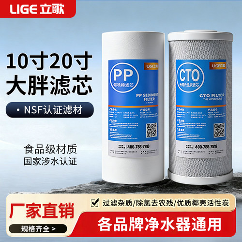 立歌大胖PP棉CTO压缩活性炭滤芯