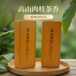 送礼随手礼品浓香型乌龙茶铁盒装 高山肉桂武夷山岩茶肉桂茶礼盒装
