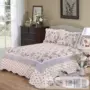 Bông hồng biển được nhồi bông bằng ga trải giường bằng vải cotton điều hòa không khí mùa hè mát mẻ là bộ ba mảnh bốn mảnh đơn - Trải giường thảm trải giường