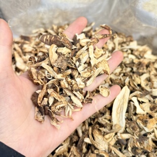 正宗四川雅江真松茸碎高性价比蒸蛋炖鸡汤太美味了货不多售完为止