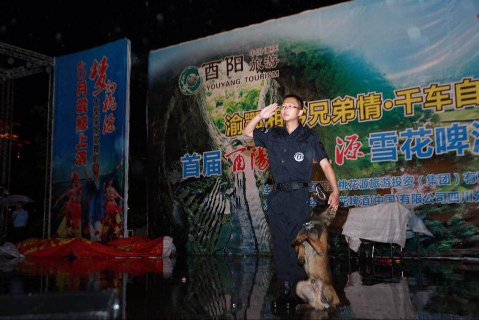 天才主人天才狗经典版 训犬资料教材教程训狗资料 幼犬 成犬训练