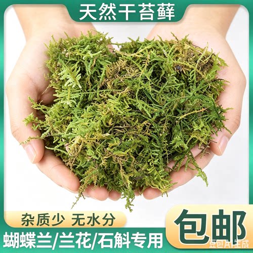 干苔藓水苔多肉兰花石斛种植基质
