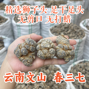 云南文山三七春三七无剪口非野生中药材可代切片代打粉