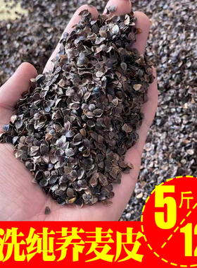 纯荞麦皮不含壳 新荞麦皮散装5斤 干净免洗 干燥无尘