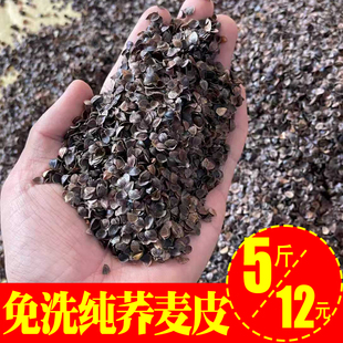 纯荞麦皮不含壳 新荞麦皮散装5斤 干净免洗 干燥无尘