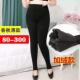 春秋款 300斤薄绒单层打底长裤 子女胖mm妈妈200斤加肥特大码
