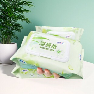 活力28湿厕纸家用卫生大包80抽一次性擦屁股私处专用温和不含酒精