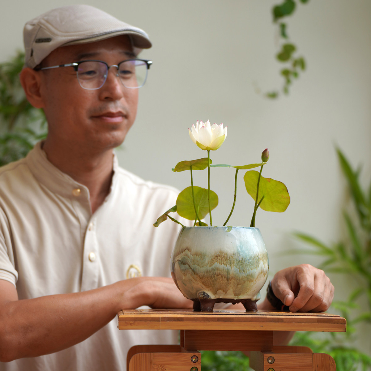 【纤•云步摇】周劲松楼顶露天台小盆栽荷花莲花碗莲种藕根茎种苗