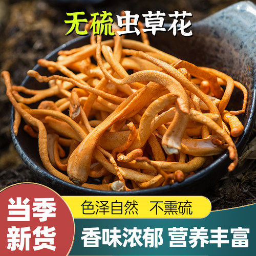 精选虫草花干货无硫煲汤汤色金黄