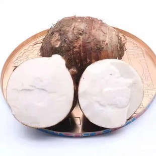 江西母芋头 赣州红芽芋头大芋头毛芋头炒丝新鲜蔬菜非香芋槟榔5斤