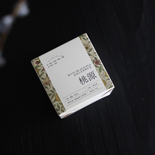 青年茶事 桃源小种红茶桃子香武夷山茶叶试喝散茶袋装50g