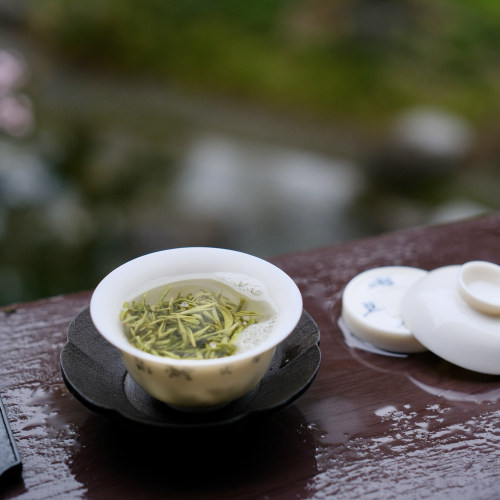 2026新茶蒙顶甘露头采川茶高山群体种四川绿茶明前特级
