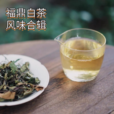 青年茶事 福鼎白茶试喝品鉴组合白毫银针牡丹寿眉饼干茶老白茶